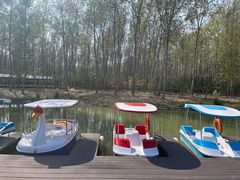 -合肥滨湖国家森林公园