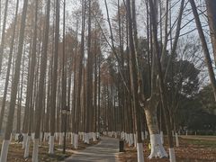 -范蠡湖公园
