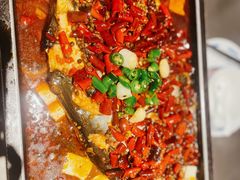 -炉鱼(萧山万象汇店)