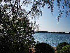 -丁香湖公园