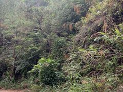 -汕尾铜鼎山旅游区
