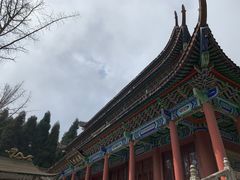-武陵山森林公园
