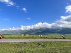 -新疆那拉提国家旅游度假区
