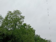 -空中草原