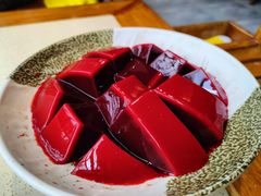鲜鸭血-蜀家渝重庆火锅(南屏街店)