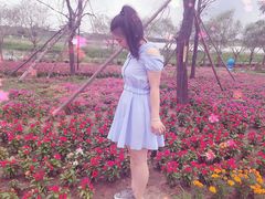 -北纬44度·金珠花海休闲农业旅游景区