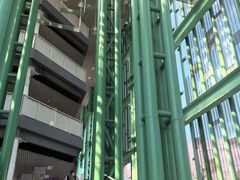 -杭州观成实验学校