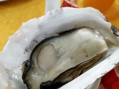 -蚝专家(北滘店)