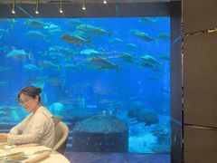 -亚特兰蒂斯•OSSIANO奥西亚诺海底餐厅