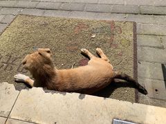 -大叔家福鼎小吃(十全街店)