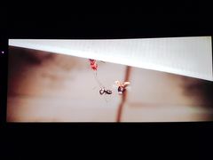 -首都电影院(天津店 中国巨幕)