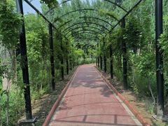 -大兴滨河森林公园