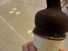 -DQ·蛋糕·冰淇淋(绿宝店)