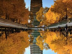 -玲珑塔公园