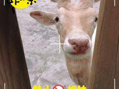 -金沙遗址博物馆
