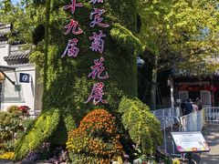 -汇龙潭