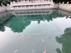 -百脉泉景区