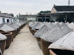 -苏州市吴中区光福窑上花果蜜饯厂