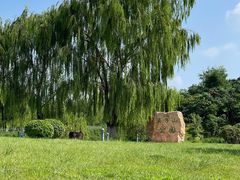 -莫子山公园