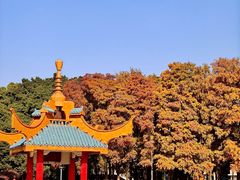 -金砂公园