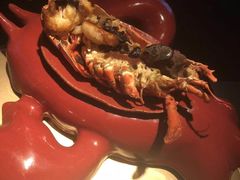 -地球美食剧场