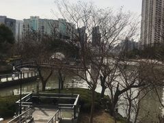 -苏州河梦清园环保主题公园