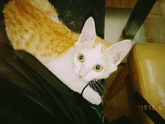 -WATER CAFE(广厦店)