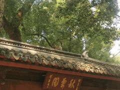 -秋霞圃