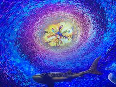 -海合安天津极地海洋公园