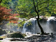 -刘伯温故里景区百丈漈