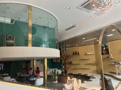 -飞行喵MR PILOT|猫舍·猫咖(静安大融城店)