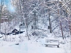 -峡谷浮石林景区