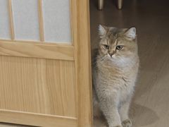 -天福棋牌(田林店)