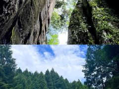 -山王坪喀斯特国家生态公园