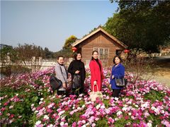 -松山湖南湖湾露营营地