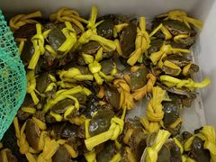 -沙田台山海鲜·酣客酒窖