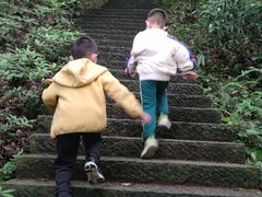-西湖风景区-江洋畈生态公园