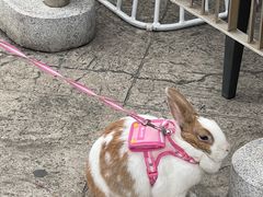 -Chili's Cafe&Bar奇利斯(滨江店)