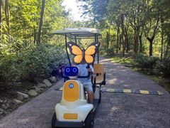 -合肥滨湖国家森林公园