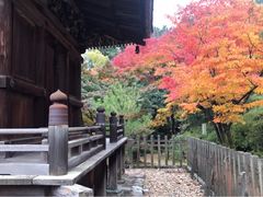 -常寂光寺