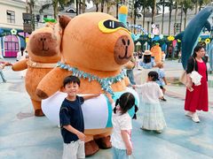 -海合安成都极地海洋公园
