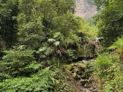 -鹿院坪生态旅游景区