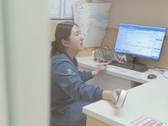 -瑞派康怡24h宠物医院·犬猫医疗中心·微创绝育(瑞景分院)
