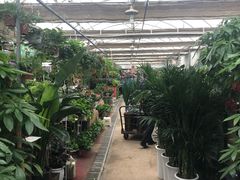 -秦美花卉(天朗·莱茵小城2期店)