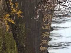 -永定河休闲森林公园