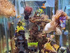 -太平洋海底世界