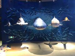 -烟台海昌鲸鲨海洋公园