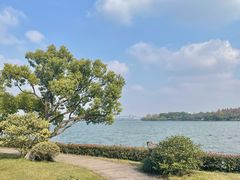 -浙江西子宾馆·牡丹厅