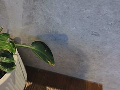 -单家老院·院子里的青岛菜(沙子口店)