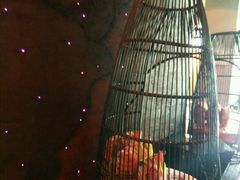 -上海外滩英迪格酒店